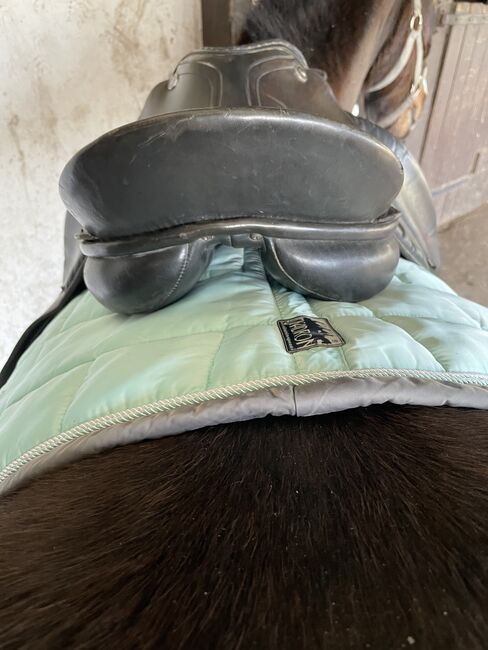 Kieffer Lech Profi Dressursattel, Kieffer Lech Profi, Jennifer Kühn, Dressage Saddle, Herten, Image 4