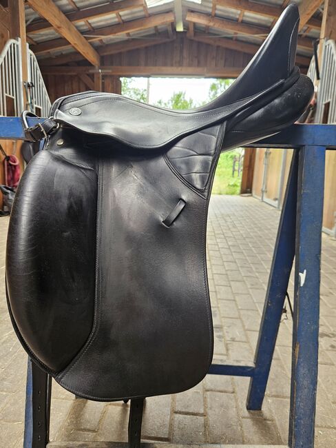 Kieffer Lusitano, Kieffer Lusitano, Ariane Sauerborn , Dressage Saddle, Freilingen , Image 2