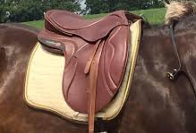Kieffer Move Sattel, Kieffer  Move, Magdalena Heim , Other Saddle, Immenstadt