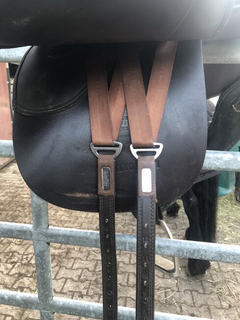 Kieffer Move, Kieffer Move, Ramona, Treeless Saddle, Altusried , Image 2