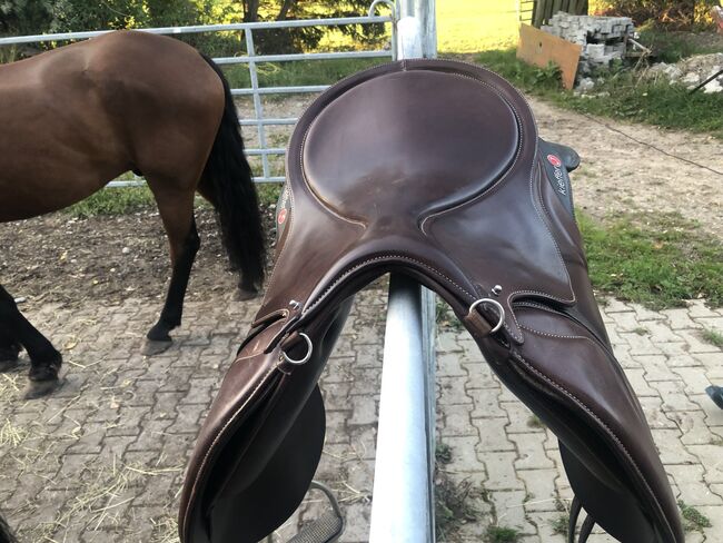 Kieffer Move, Kieffer Move, Ramona, Treeless Saddle, Altusried , Image 3