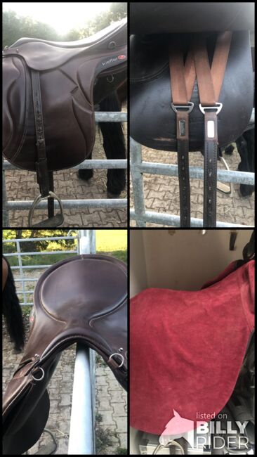 Kieffer Move, Kieffer Move, Ramona, Treeless Saddle, Altusried , Image 5