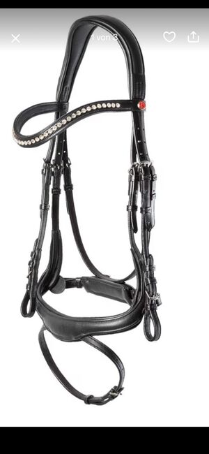 Kieffer Trense Essential neuwertig, Kieffer Essential , Susanne Adam , Bridles & Headstalls, Flensburg