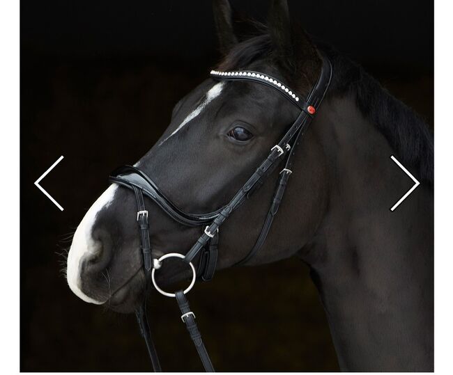 KIEFFER TRENSE ZU VERKAUFEN, Kieffer Ultra Soft Amy Shine,  Plath, Bridles & Headstalls, Neumünster