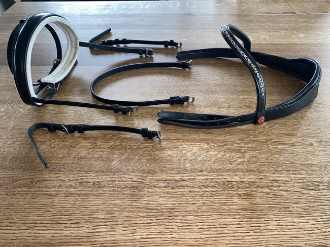 Kieffer Trensenzaum, Reithalfter full, Kieffer, Rosalie, Nosebands, Forstern, Image 5