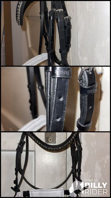 Kieffer Trense Paris Lack, Kieffer  Paris Lack, Leonie Steinhauer , Bridles & Headstalls, Berlin, Image 4