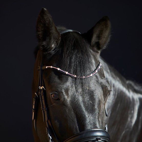 Kieffer Trense Priya Schwarz/Rosa Warmblut *neu* UVP 238 €, Kieffer Priya, Nicola Körting, Bridles & Headstalls, Ötzingen , Image 3