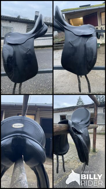 Kieffer Ulla Salzberger Rusty, Kieffer Ulla Salzberger Rusty, Carolin C., Dressage Saddle, Wülfrath, Image 7