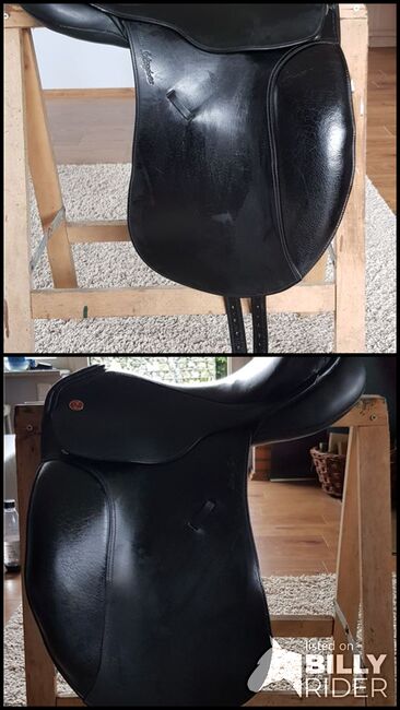 Kieffer Ulla Salzgeber Rusty Exclusiv, Kieffer Ulla Salzgeber Rusty Exclusiv  Rusty Exclusiv , Kirsten Müller, Dressage Saddle, Kisdorf, Image 3