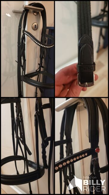 Kieffer Ultrasoft Sue, Kieffer Ultrasoft Sue, Daniela, Nosebands, Klagenfurt am Wörthersee, Image 6