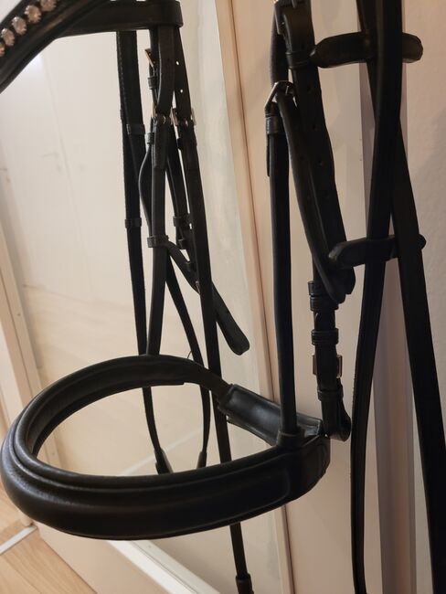 Kieffer Ultrasoft Sue, Kieffer Ultrasoft Sue, Daniela, Nosebands, Klagenfurt am Wörthersee, Image 4