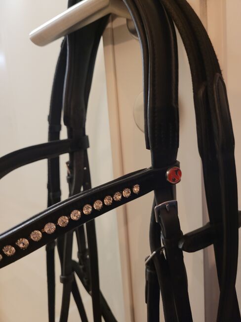 Kieffer Ultrasoft Sue, Kieffer Ultrasoft Sue, Daniela, Nosebands, Klagenfurt am Wörthersee, Image 3