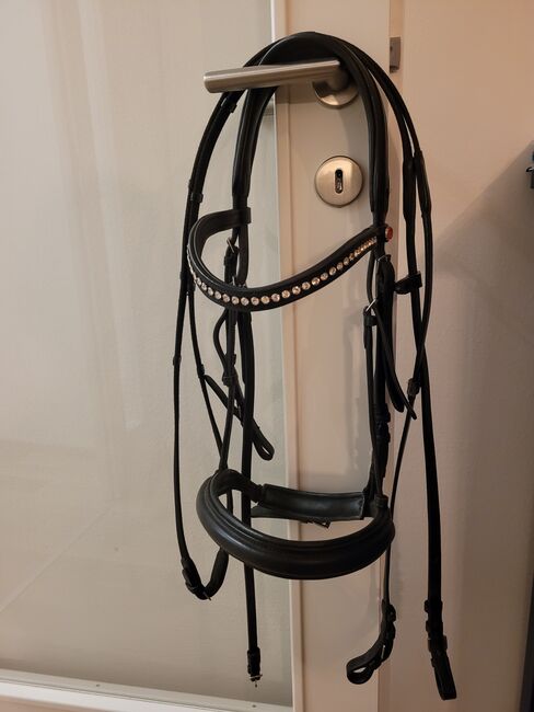Kieffer Ultrasoft Sue, Kieffer Ultrasoft Sue, Daniela, Nosebands, Klagenfurt am Wörthersee, Image 5