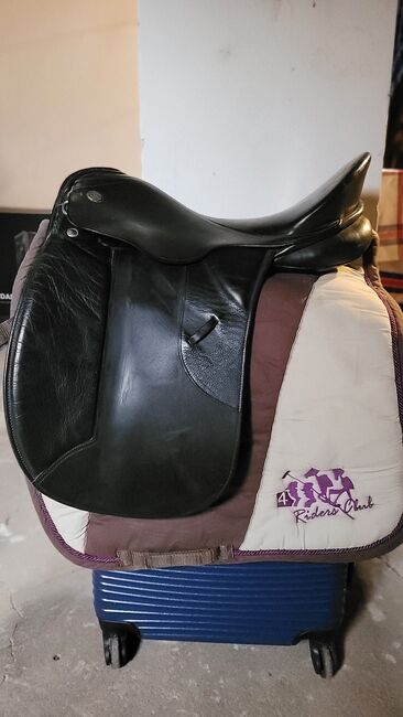 Kieffer Sattel VS 17,5 Zoll, Kieffer  Gammon , Denise, All Purpose Saddle, Niedergebra