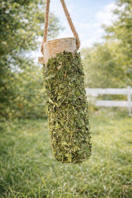 Knabberhölzer aus Birke für Pferde, Nedwood Creations, Nedwood Creations, Pasza i suplementy dla koni, Hamm