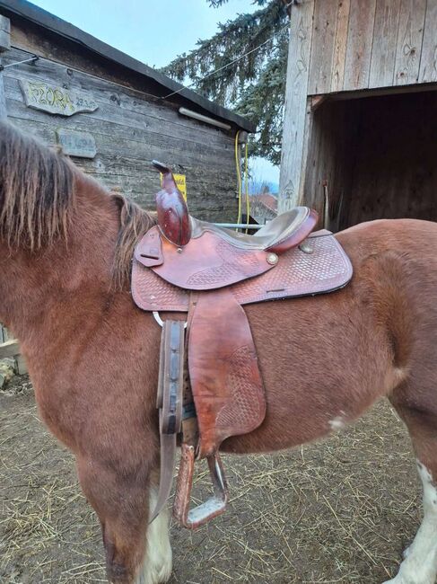 Kinder Westersattel 14" breite Kammer, Karina Fischer, Westernsattel, DROBOLLACH 