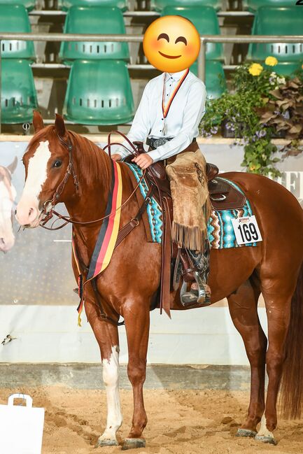 Kinderlieber, super bequemer Paint Horse Wallach abzugeben, Kerstin Rehbehn (Pferdemarketing Ost), Horses For Sale, Nienburg, Image 7