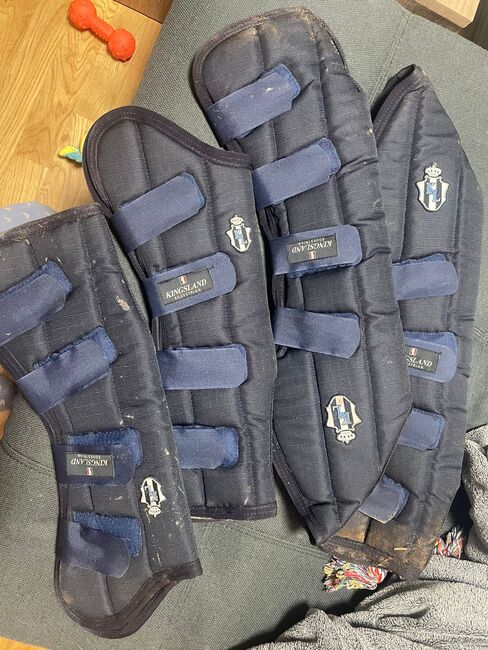 Kingsland Transportgamaschen, kingsland , Lena Grimm, Tendon Boots, Markersdorf , Image 2