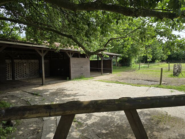 Offenstall Platz Stute oder Wallach, Open Ranch , Marina Schmidt , Wolna stajnia, Bissendorf , Image 5