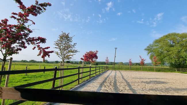Offenstall Platz Stute oder Wallach, Open Ranch , Marina Schmidt , Wolna stajnia, Bissendorf , Image 7