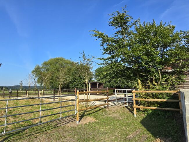 Offenstall Platz Stute oder Wallach, Open Ranch , Marina Schmidt , Wolna stajnia, Bissendorf , Image 11