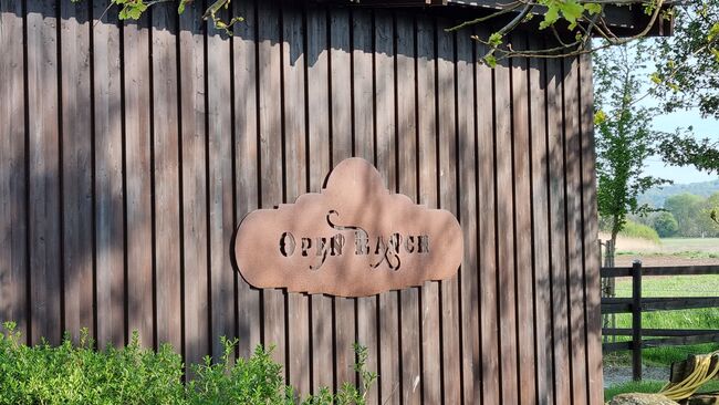 Offenstall Platz Stute oder Wallach, Open Ranch , Marina Schmidt , Wolna stajnia, Bissendorf , Image 16