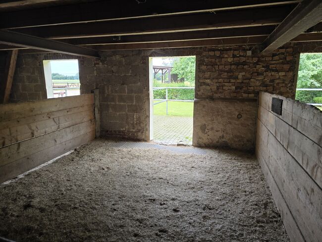 Offenstall Platz Stute oder Wallach, Open Ranch , Marina Schmidt , Wolna stajnia, Bissendorf , Image 17
