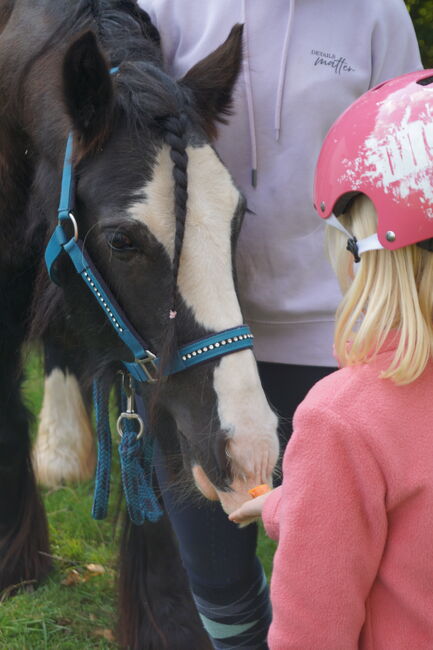 Pony Tinkerstute zu verkaufen, Christian, Konie na sprzedaż, Mittelbach, Image 2