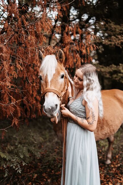 Haflinger Stute, Jana Wurm, Konie na sprzedaż, Golling, Image 9