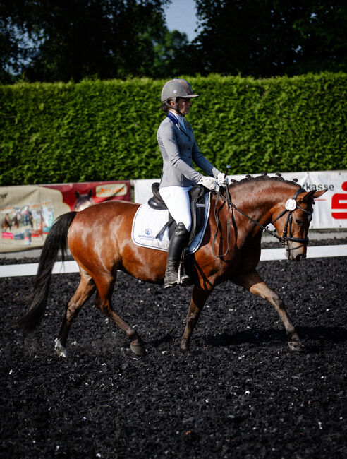 Deutsche Reitpony Stute, Lisa, Konie na sprzedaż, Limbach-Oberfrohna