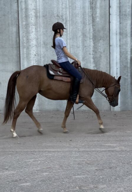 Red Roan Qh Stute aus 2021 sucht fördernde Hände, Amelie Liegl, Konie na sprzedaż, Eppan, Image 3