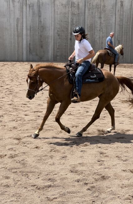 Red Roan Qh Stute aus 2021 sucht fördernde Hände, Amelie Liegl, Konie na sprzedaż, Eppan, Image 2