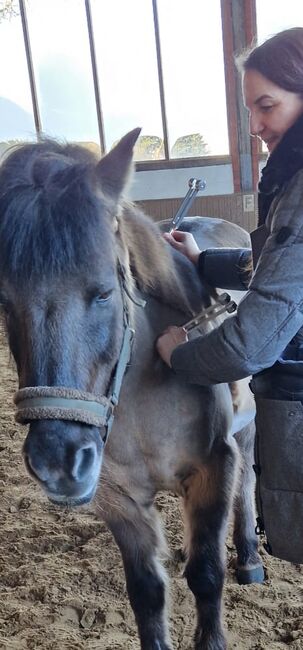 Klangtherapie Pferde & Geistige Wirbelsäulenaufrichtung für Pferd &Reiter;in!, EquiSysHealing® by Anca  Pferdeklangtherapie u.m., Anca Dirkmann , Therapie & Behandlung, Rheine 