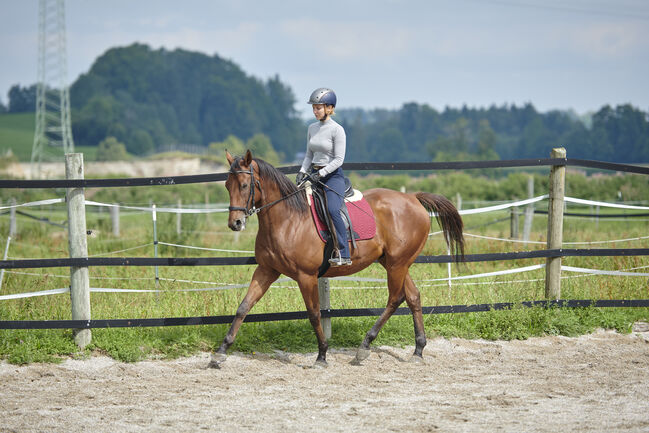 Reitunterricht klassich-barocke Reiterei, Linda, Riding Lessons, Bredebro 