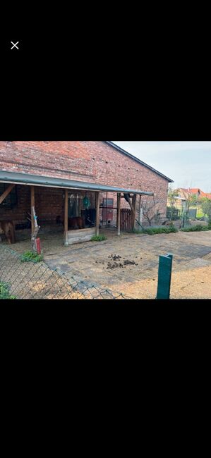 Kleinen Pony offenstall, T.Kl., Horse Stables, Söhlde