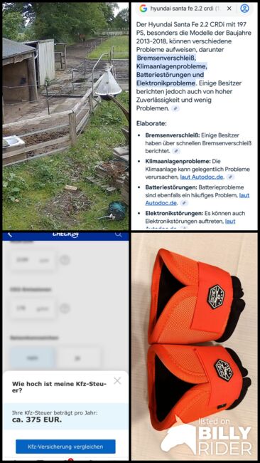 Hufglocken, Josy, Other, Schafstedt, Image 11
