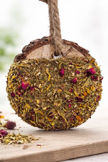 Knabberholz/Knabbertaler für Pferde aus Birke, Nedwood Creations, Nedwood Creations, Horse Feed & Supplements, Hamm