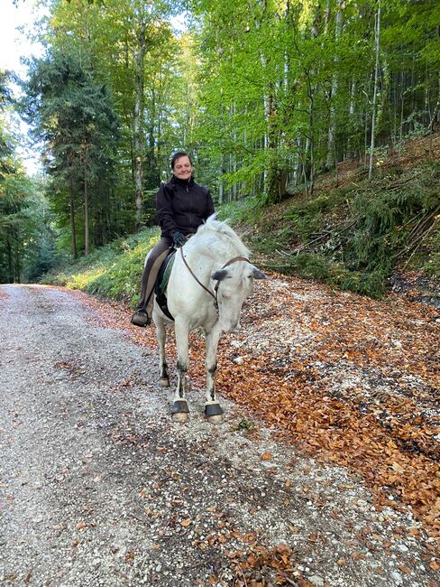 Knabstrupper, Erika , Horses For Sale, Oberwang, Image 2