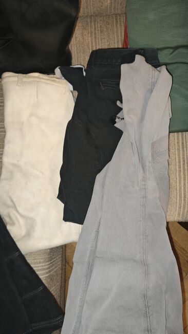 Herrenreithose, Sophie , Men's Breeches & Jodhpurs, Wien, Image 2