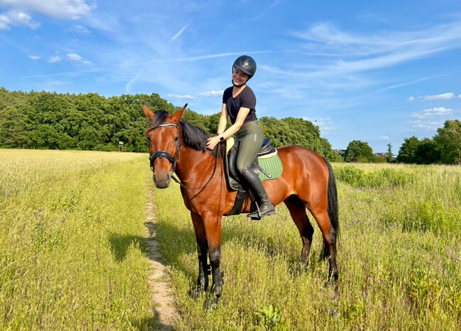 Hübscher 5 Jähriger Wallach, Juliane, Horses For Sale, Schwielowsee , Image 14