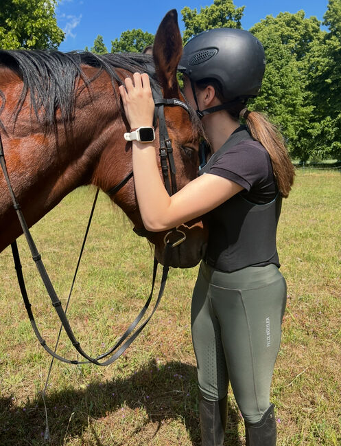 Hübscher 5 Jähriger Wallach, Juliane, Horses For Sale, Schwielowsee , Image 10