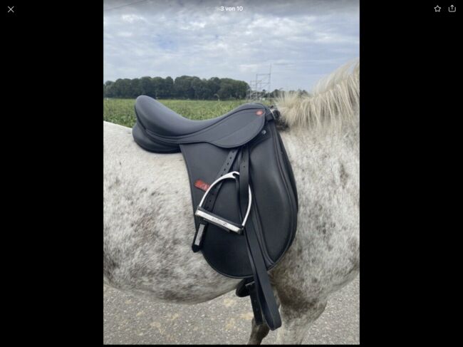 Knight Rider Sattel 16 Zoll, Knight Rider, Nicole , All Purpose Saddle, Neuss 