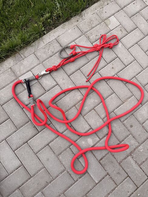 Strickhalfter mit Bodenarbeitsseil, Mo , Halters, Mönchenholzhausen 