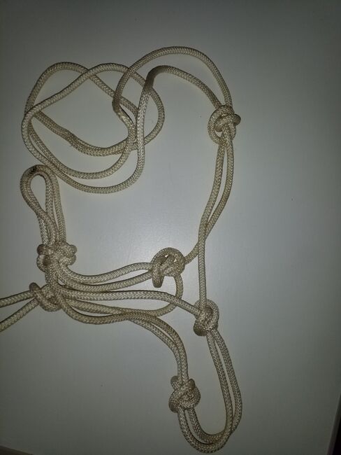 Knotenhalfter gebraucht, Christina Eggert, Halters, Varel