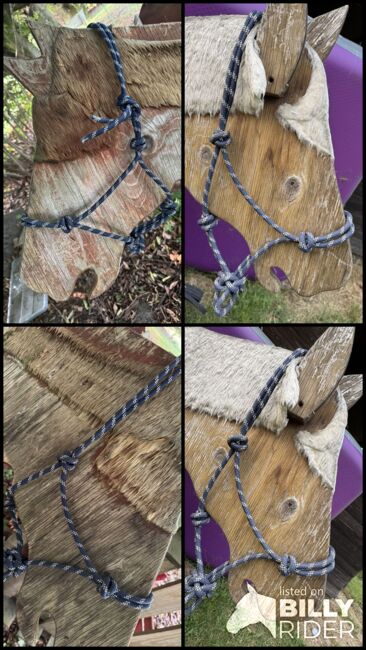 Knoten Halfter, Marina , Halters, Gütersloh, Image 6