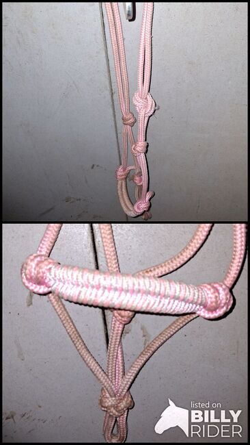 Knotenhalfter Shetty, Anke , Halters, Breiholz, Image 3