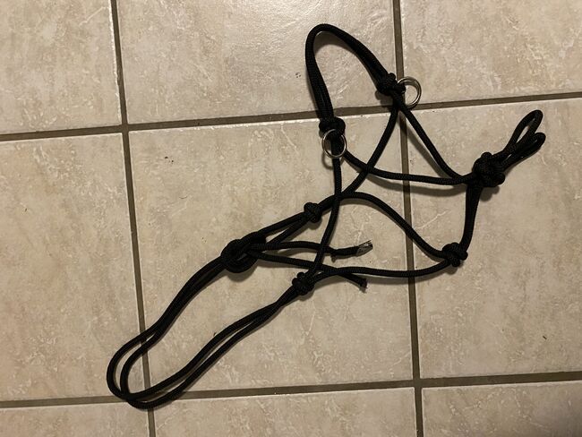 Knotenhalfter, Celine, Halters, Drensteinfurt, Image 3