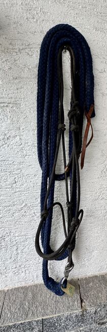 Knoten Halfter Full/KB mit langem Bodenarbeitsseil, Heike, Bodenarbeit, Alsbach-Hähnlein