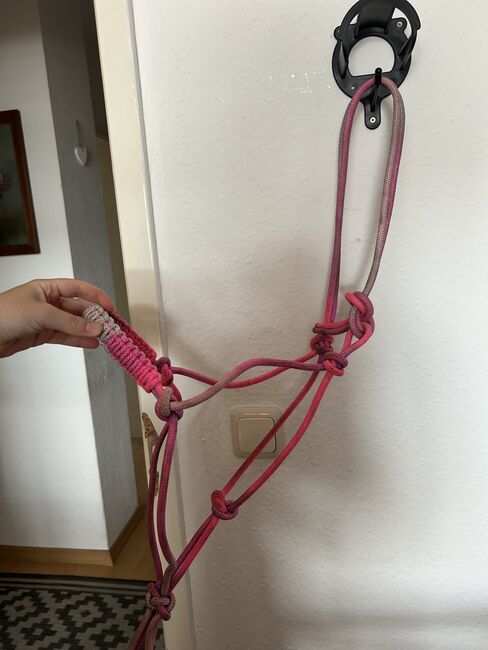 Knoten Halfter, Isabelle, Halfter, Leegebruch 