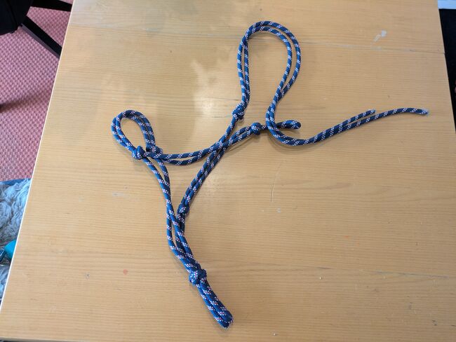 Knotenhalfter, Vanessa Andreata, Bodenarbeit, Jenbach
